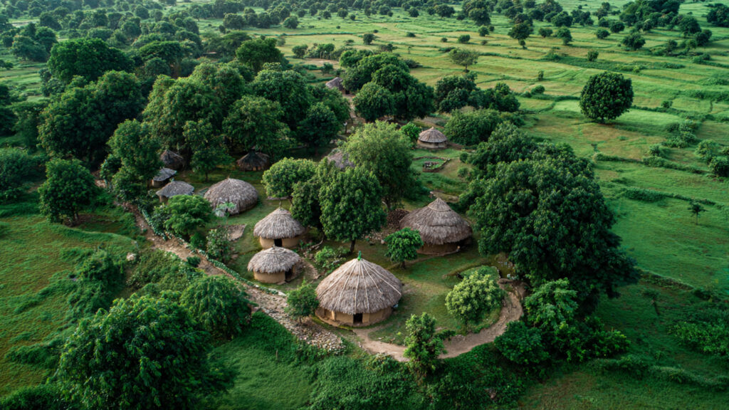 Role of NGOs in Promoting Bio Villages 🤝🌱