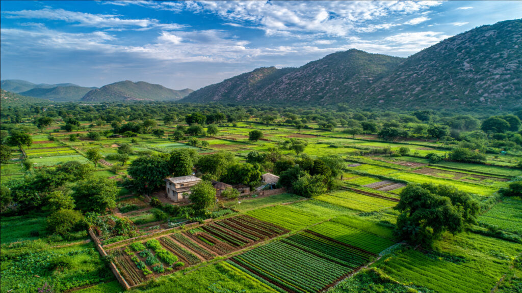 The Concept of Organic Farming in Villages