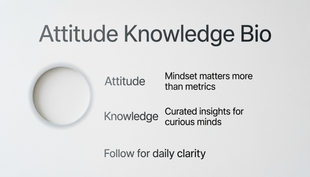 Attitude Knowledge Bio for Instagram