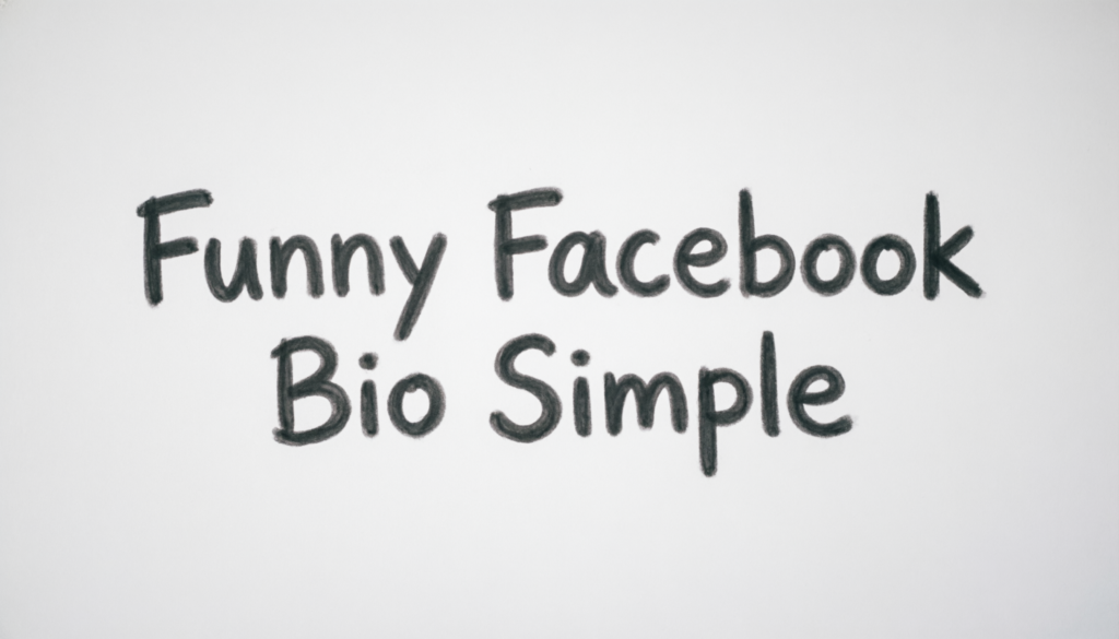 Funny Facebook Bio Simple